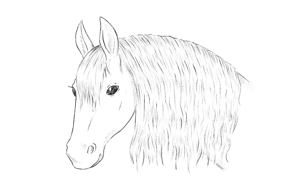 как нарисовать лошадь