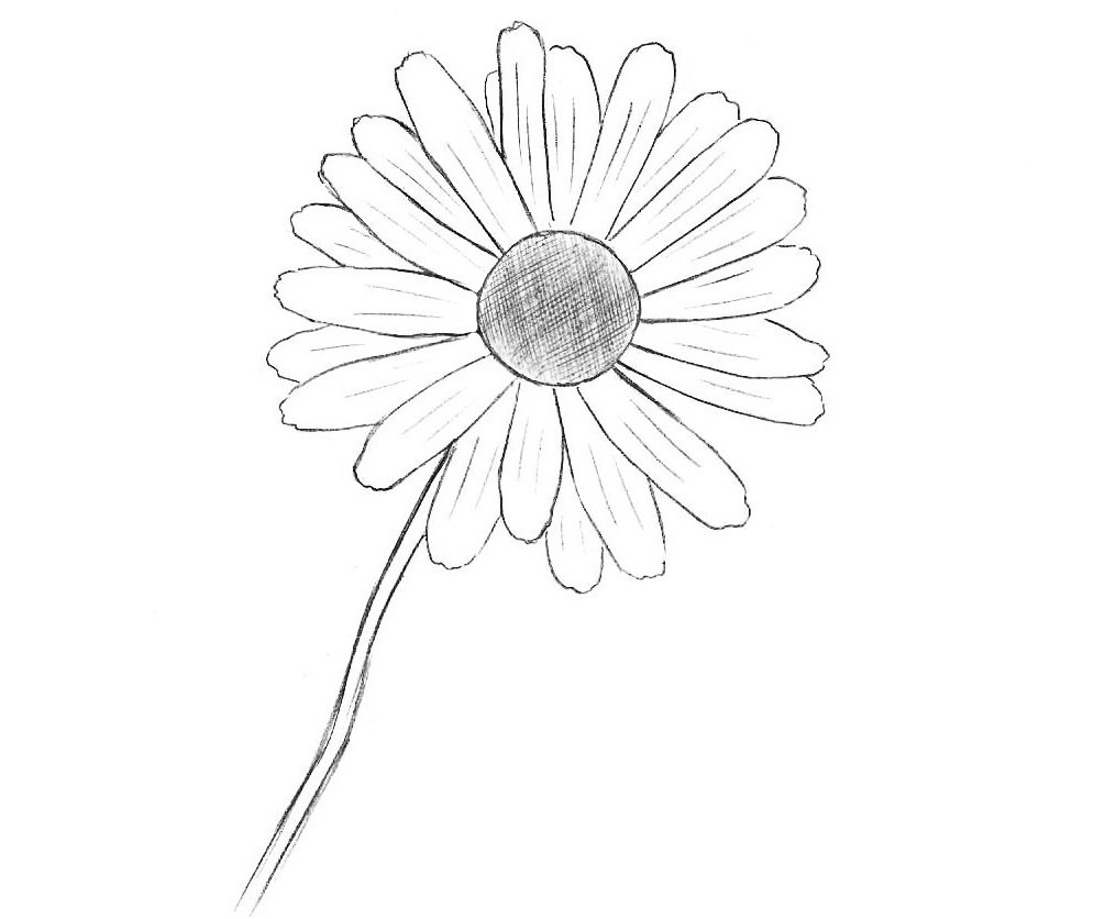 Как нарисовать цветок легко — Пошаговые уроки рисования