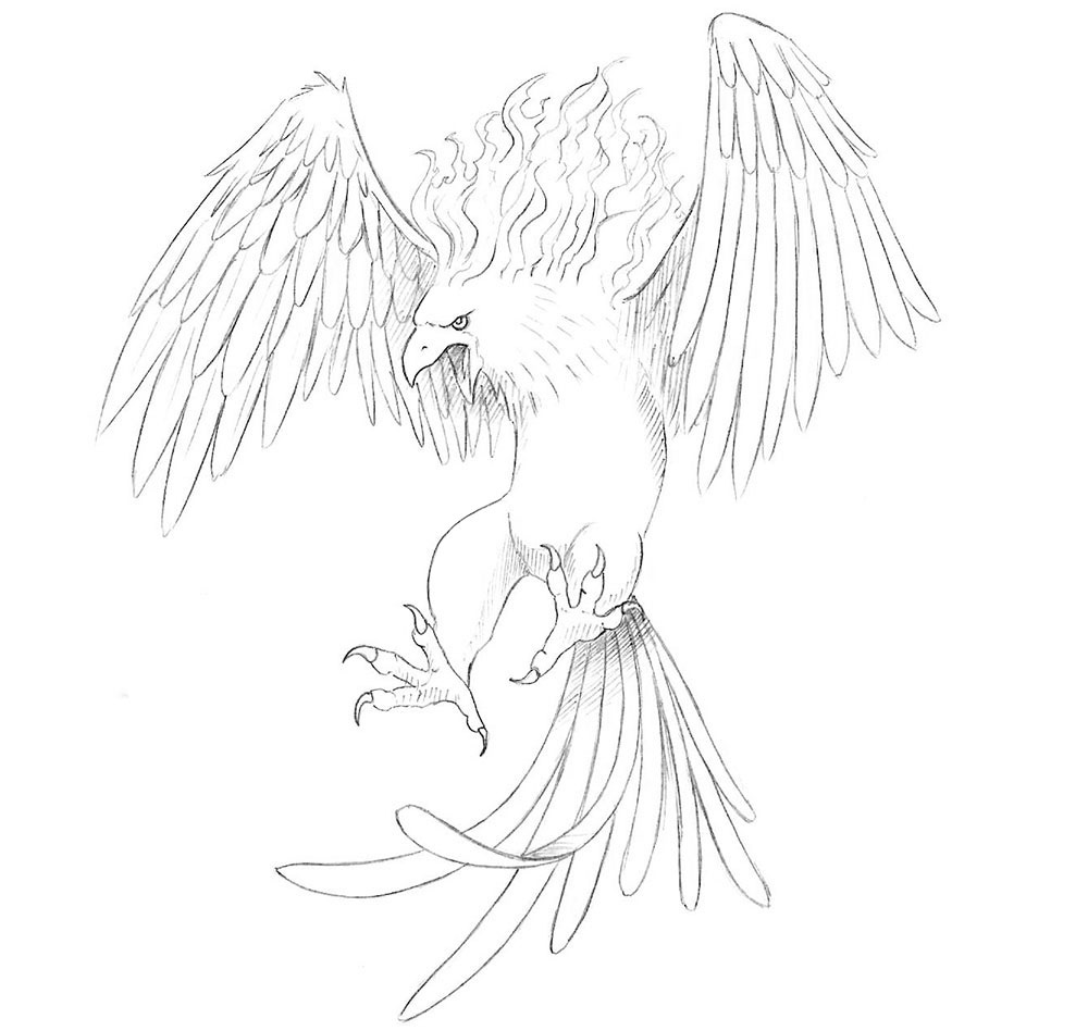 Как нарисовать Феникса карандашом поэтапно 4 | Рисовать, Рисунок птиц, Рисунки