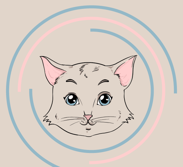 Как нарисовать лицо кошки поэтапно – Рисуем мордочку кота легко и просто —  Пошаговые уроки рисования