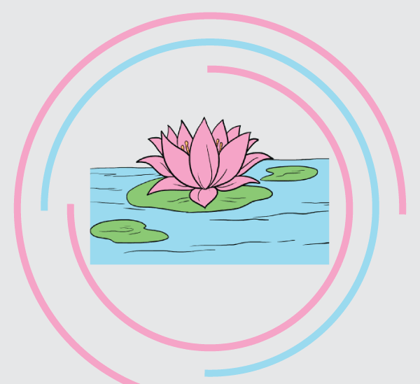 Как нарисовать цветок лотоса поэтапно — Пошаговые уроки рисования