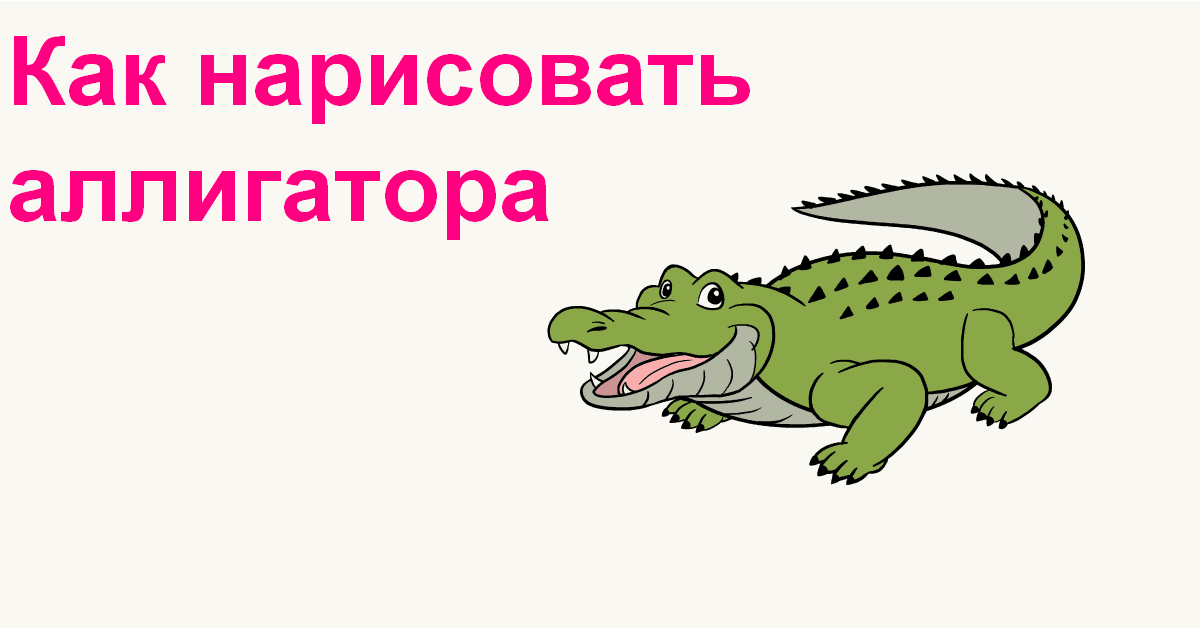 how to draw an alligator featured image