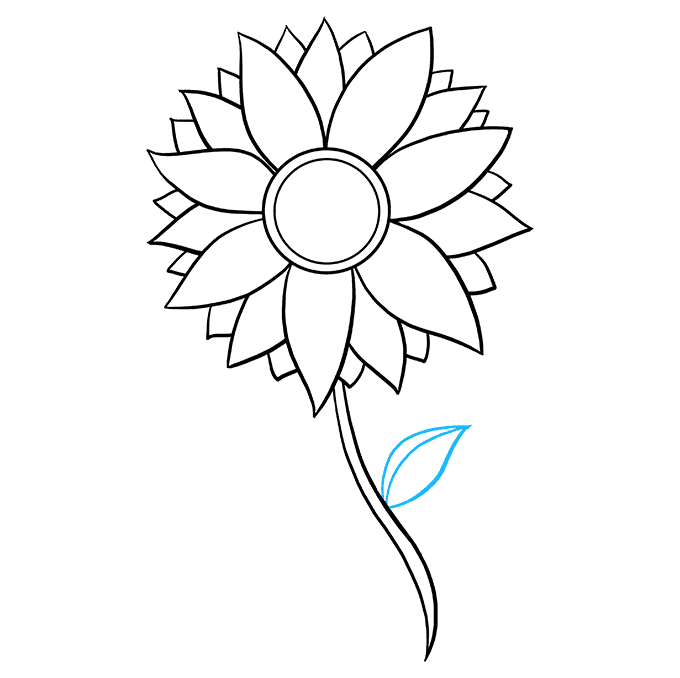 sunflower 07