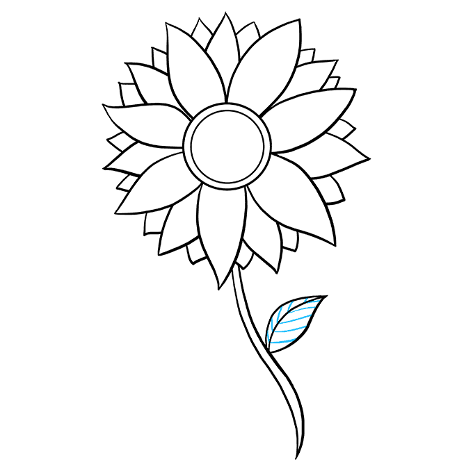 sunflower 08