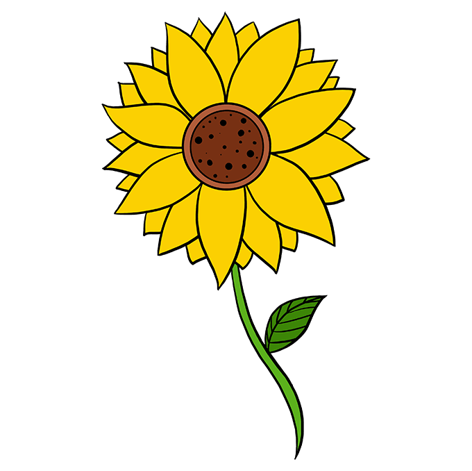 sunflower 10