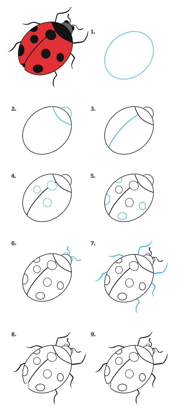 Как нарисовать божью коровку ребенку 5 лет
