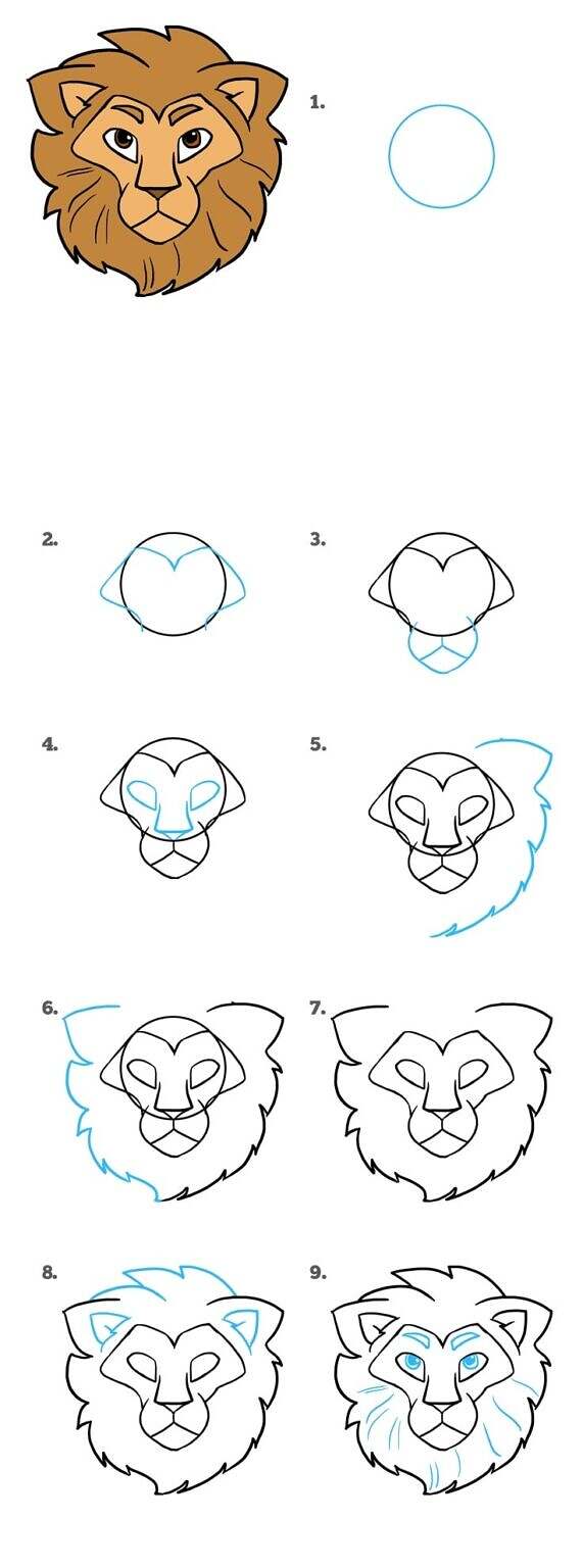 Пошаговое рисование головы Льва